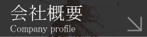 ЊTv